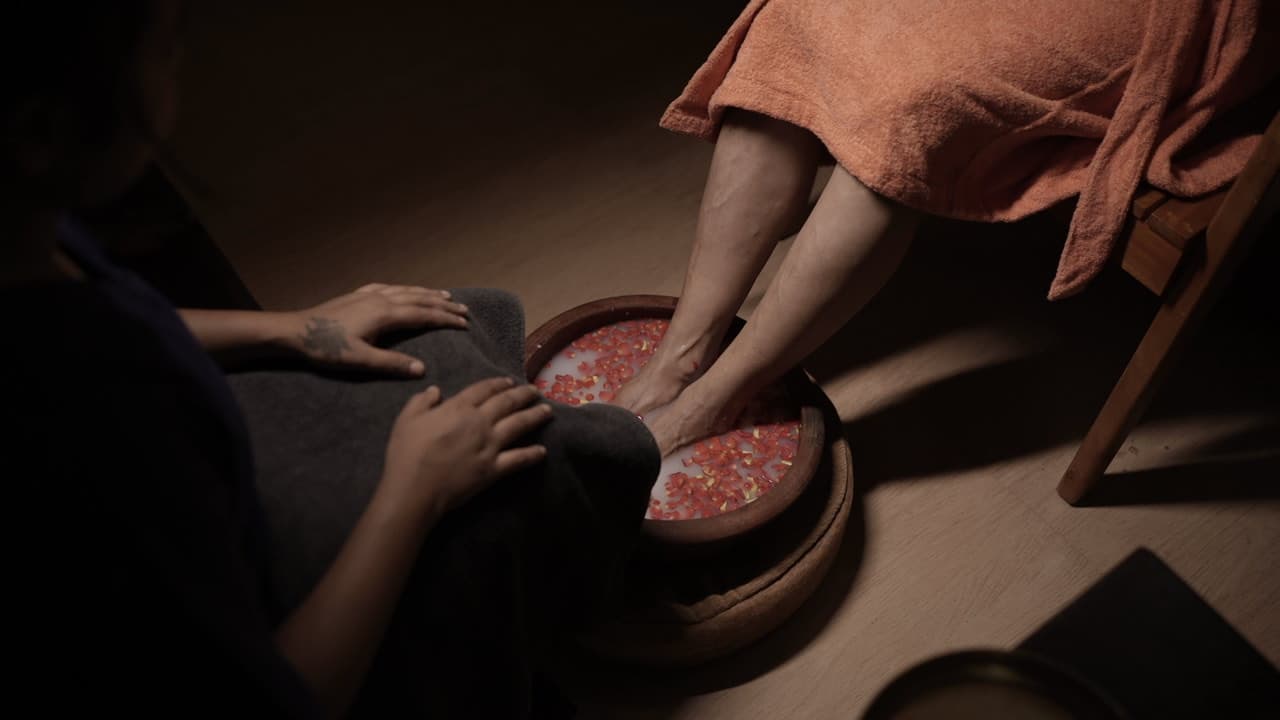 Absolute Ayurveda